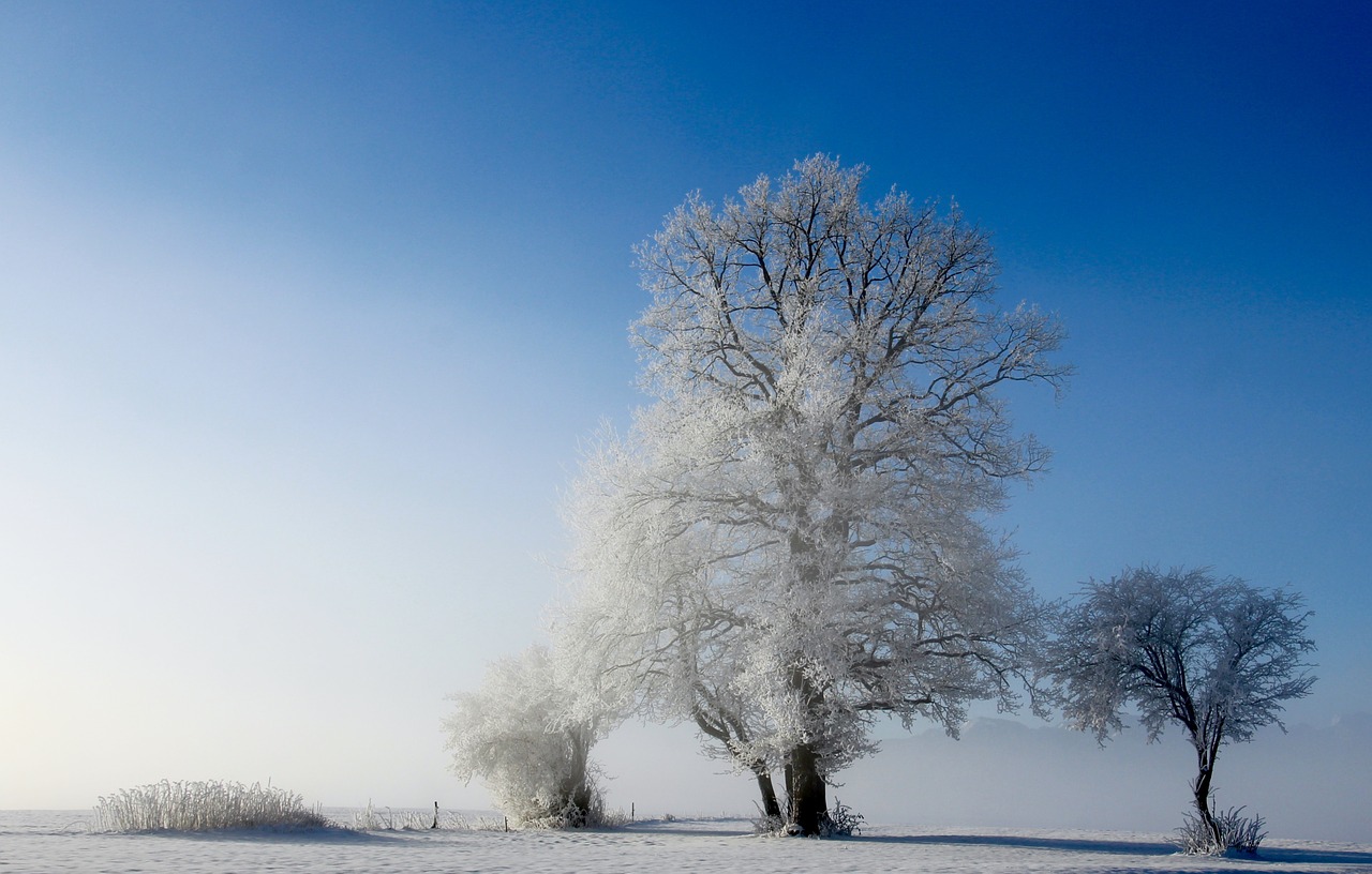 matrimonio invernale